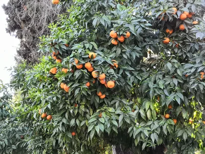 Photo from 14 March 2019