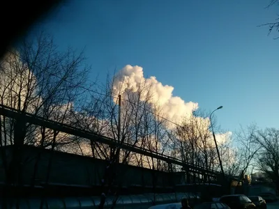 Photo from 21 January 2014