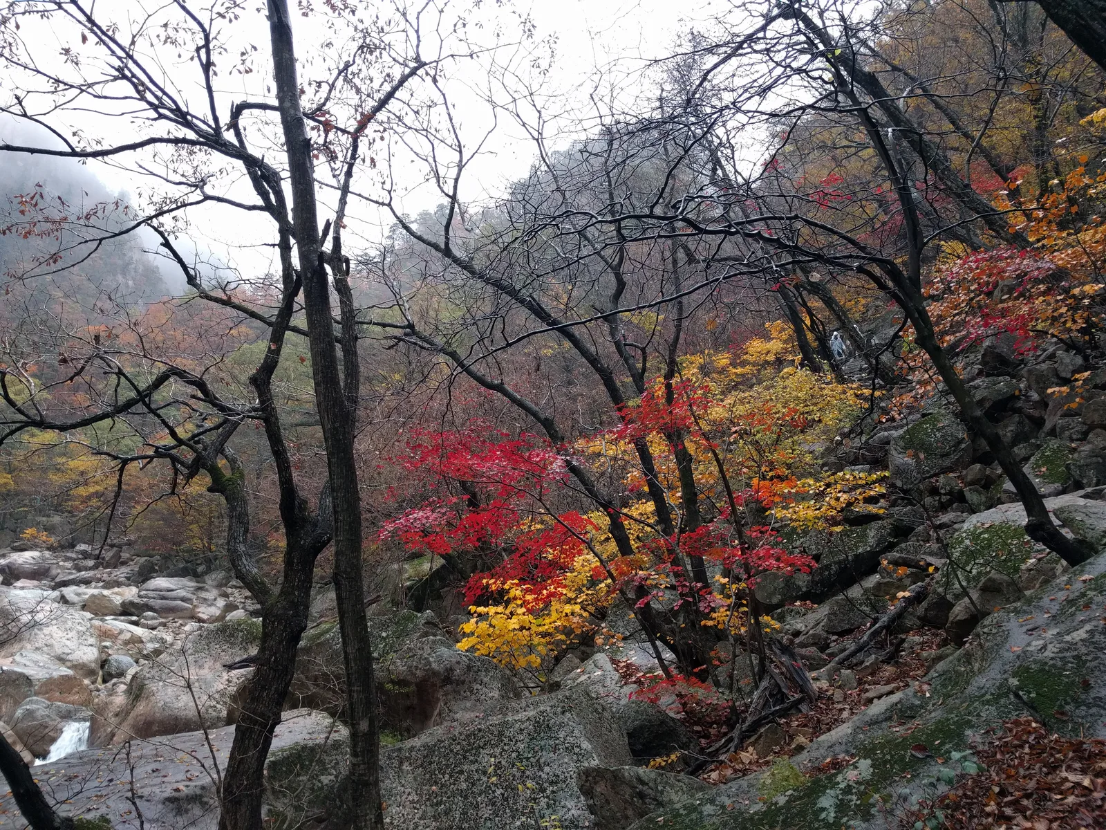 Sokcho, South Korea — 21 October 2016
