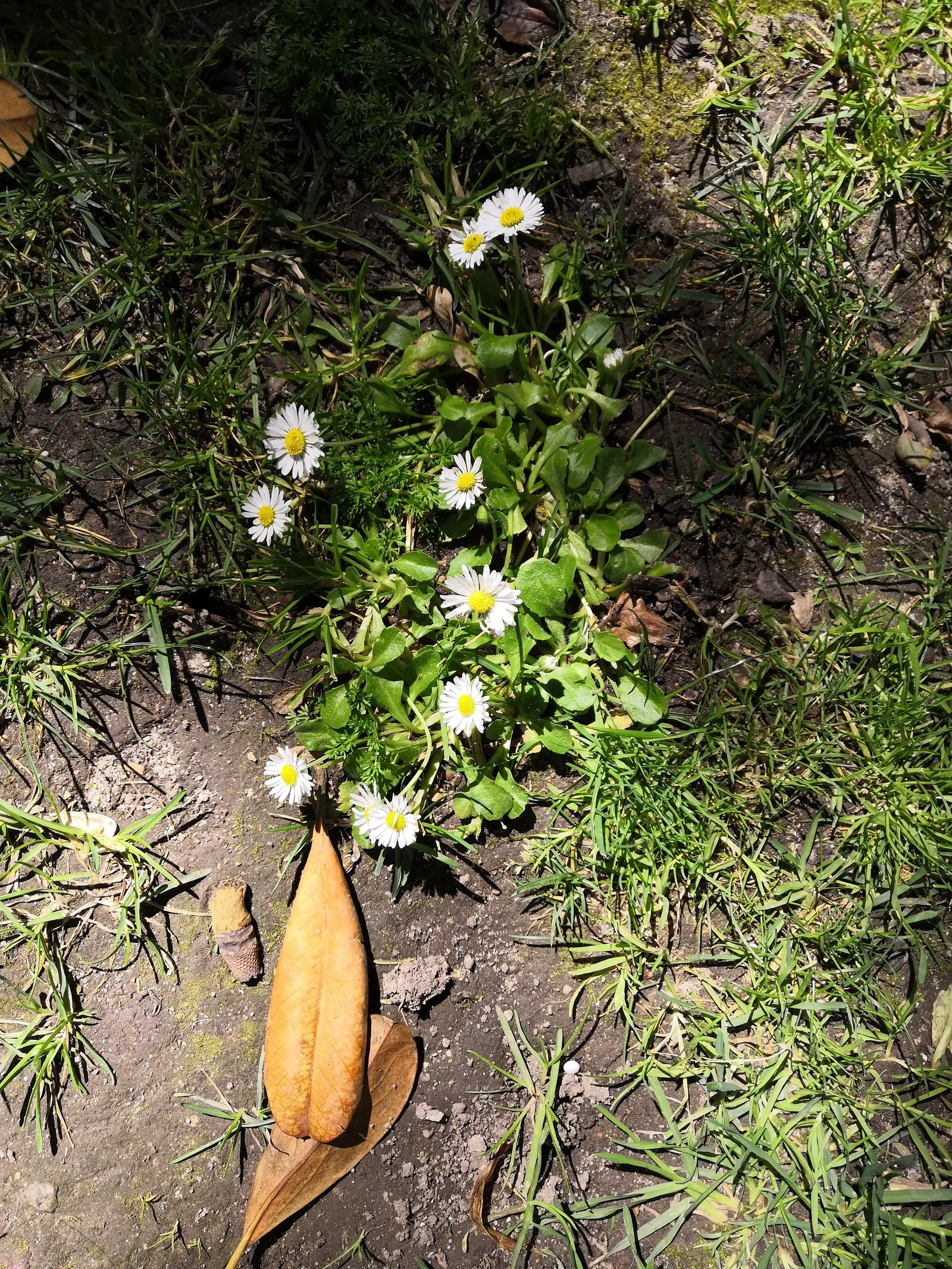Photo from 20 March 2019