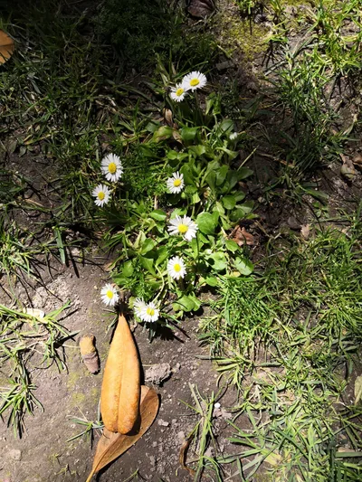 Photo from 20 March 2019