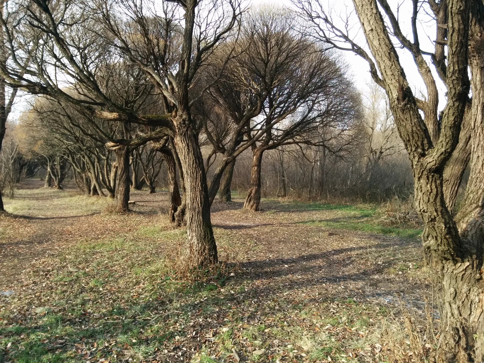Photo from 26 October 2014
