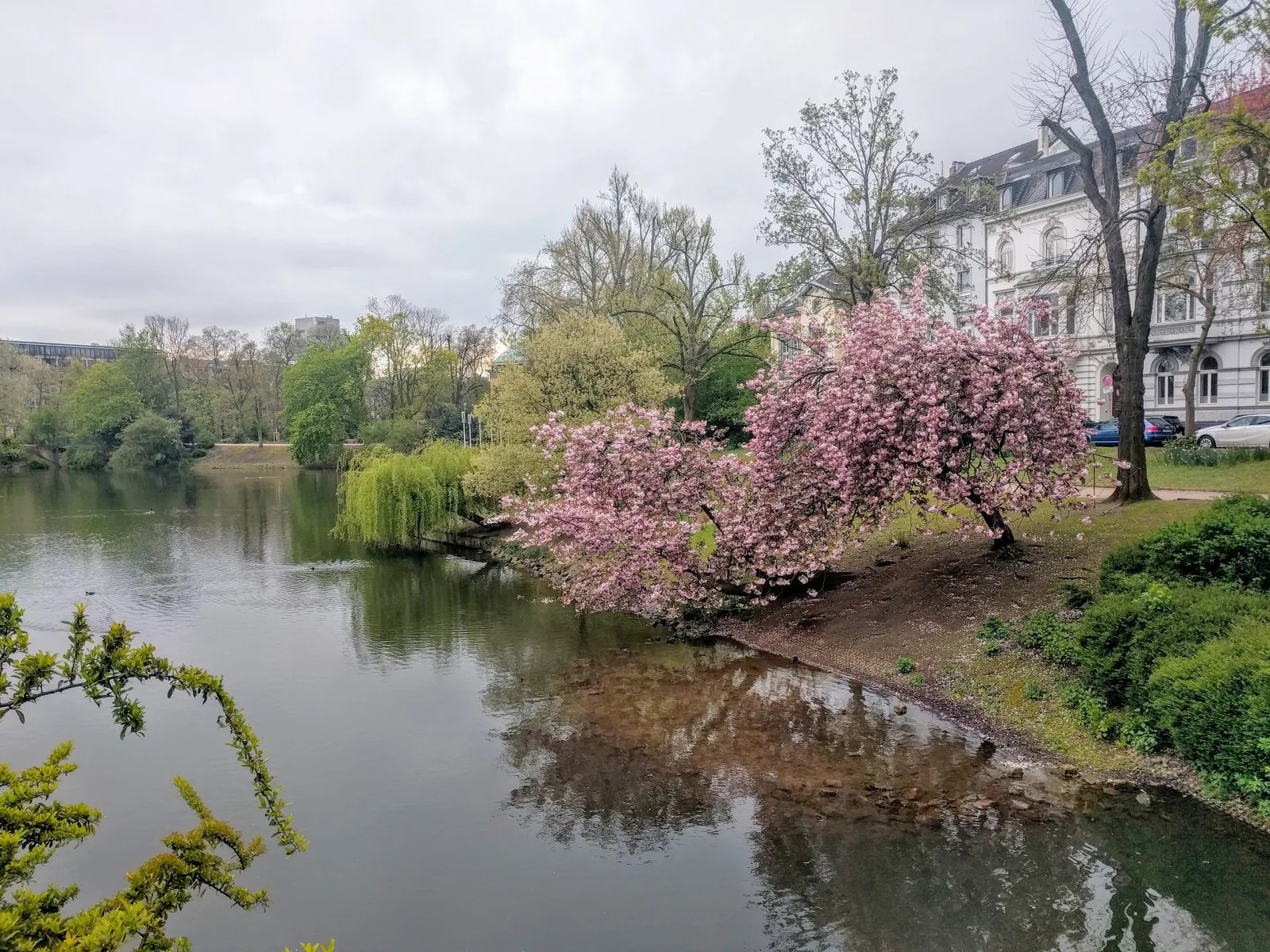Photo from 29 April 2016