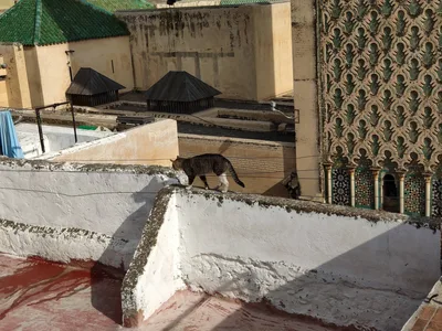 Photo from 13 March 2019