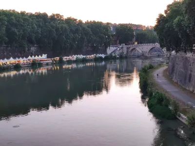 Photo from 20 July 2019