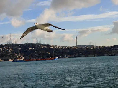 Beylerbeyi, Turkey — 3 January 2020