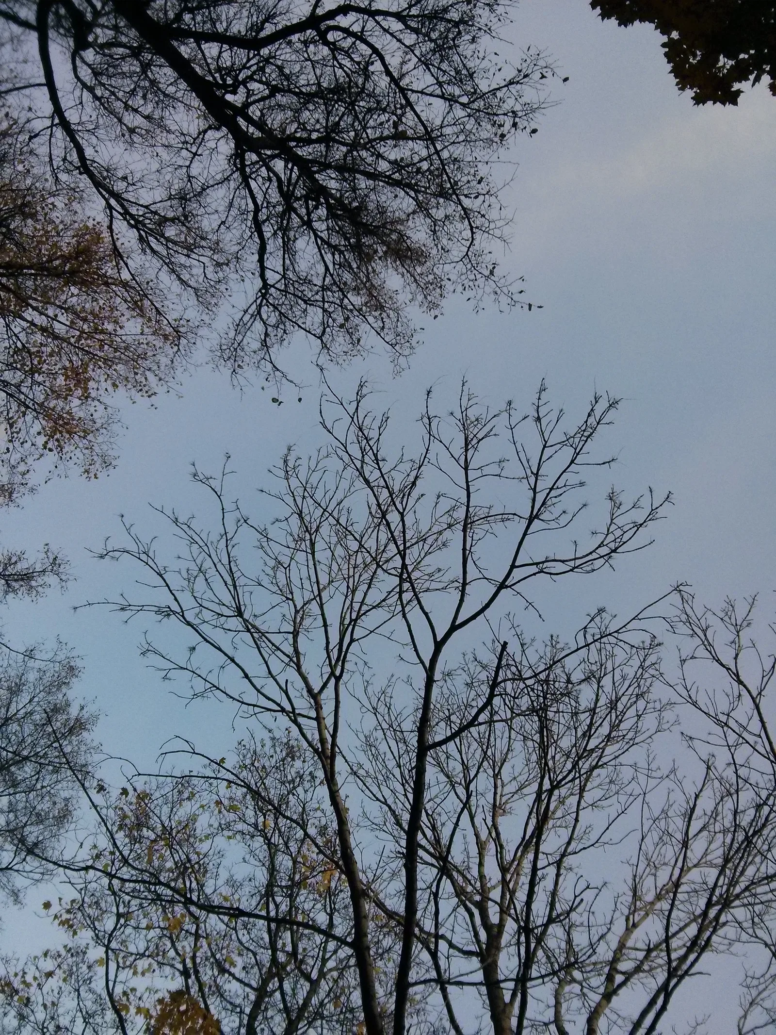 Photo from 12 October 2013