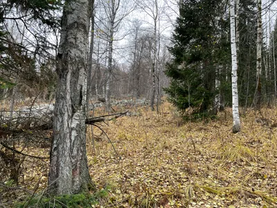 Trëkhgornyy, Russia — 16 October 2021