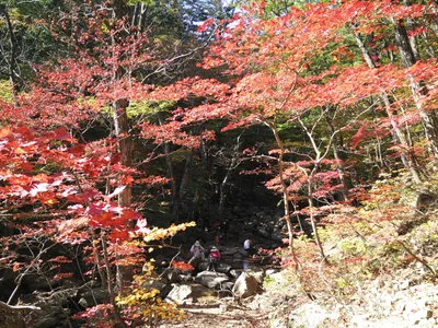 Photo from 19 October 2016