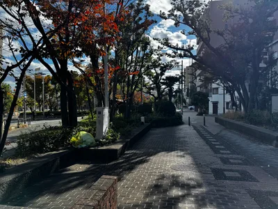 Ajiharacho, Japan — 23 November 2024