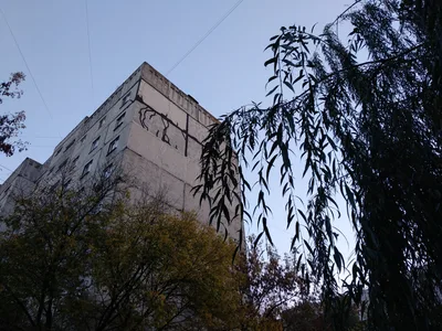 Photo from 19 October 2017