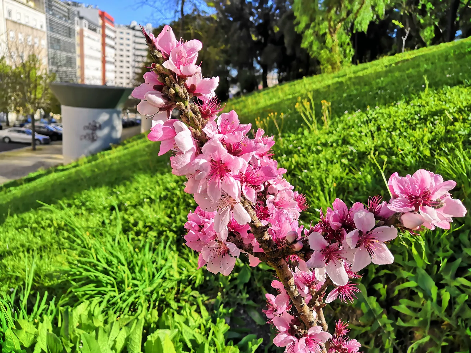 Photo from 20 March 2019