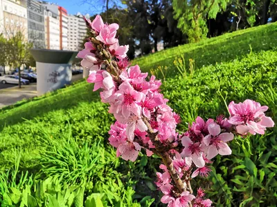 Photo from 20 March 2019
