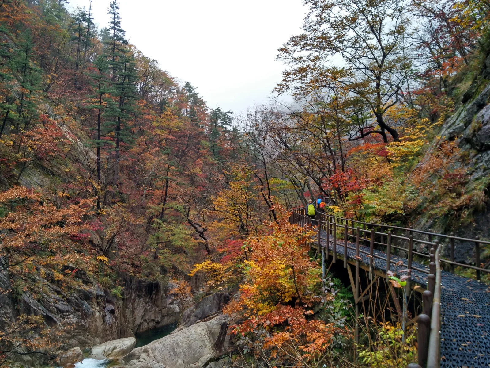 Photo from 21 October 2016