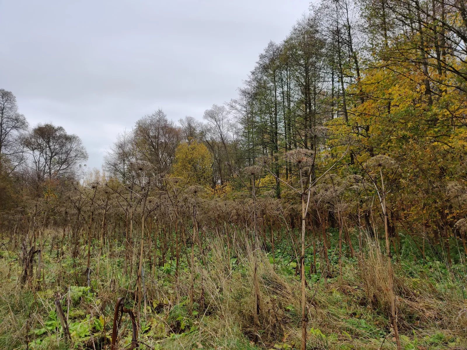 Ozëry, Russia — 12 October 2019