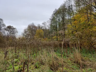 Ozëry, Russia — 12 October 2019