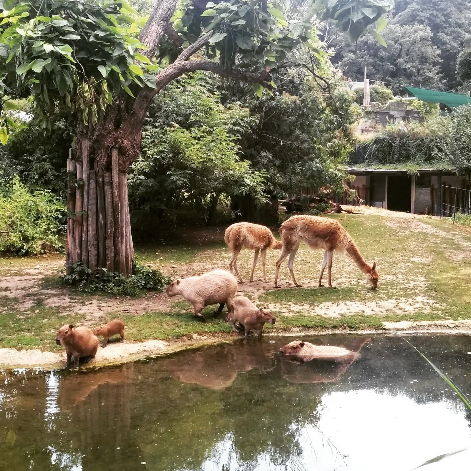 Photo from 12 July 2015