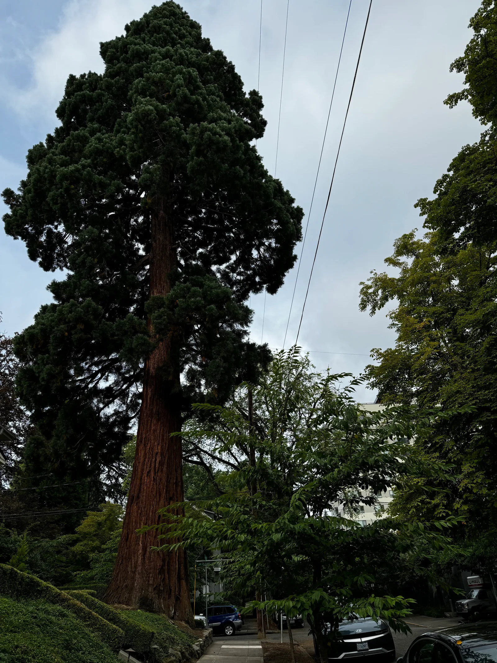 Portland, United States — 24 August 2024
