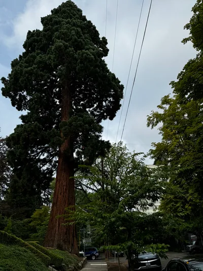 Portland, United States — 24 August 2024