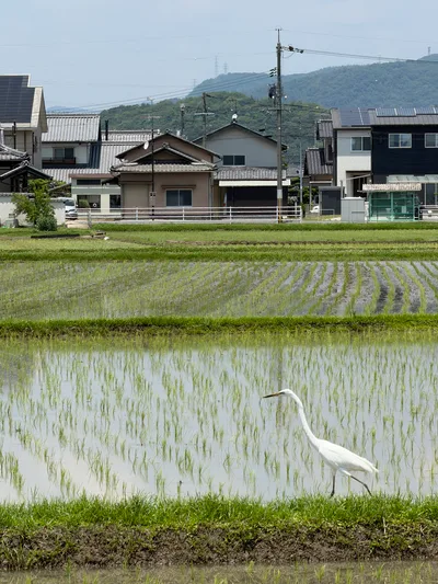 Sōja, Japan — 13 June 2026