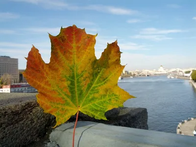 Photo from 6 October 2013