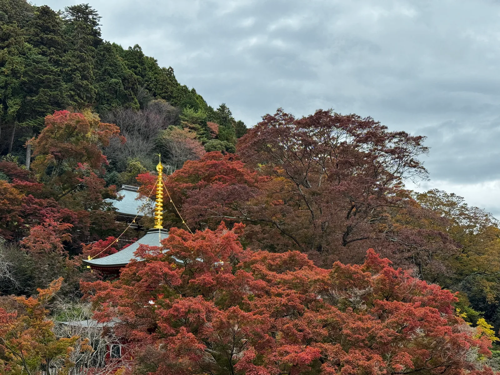 Minoh, Japan — 26 November 2024