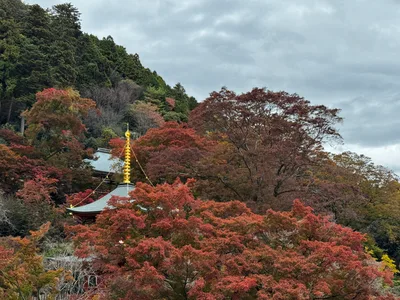 Minoh, Japan — 26 November 2024