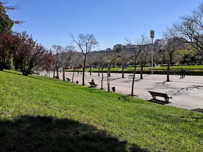 Photo from 20 March 2019
