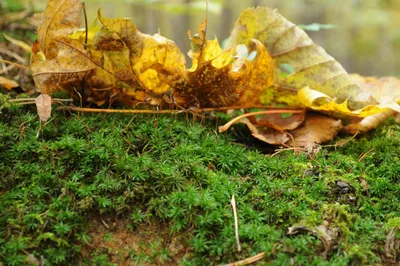 Photo from 8 October 2011