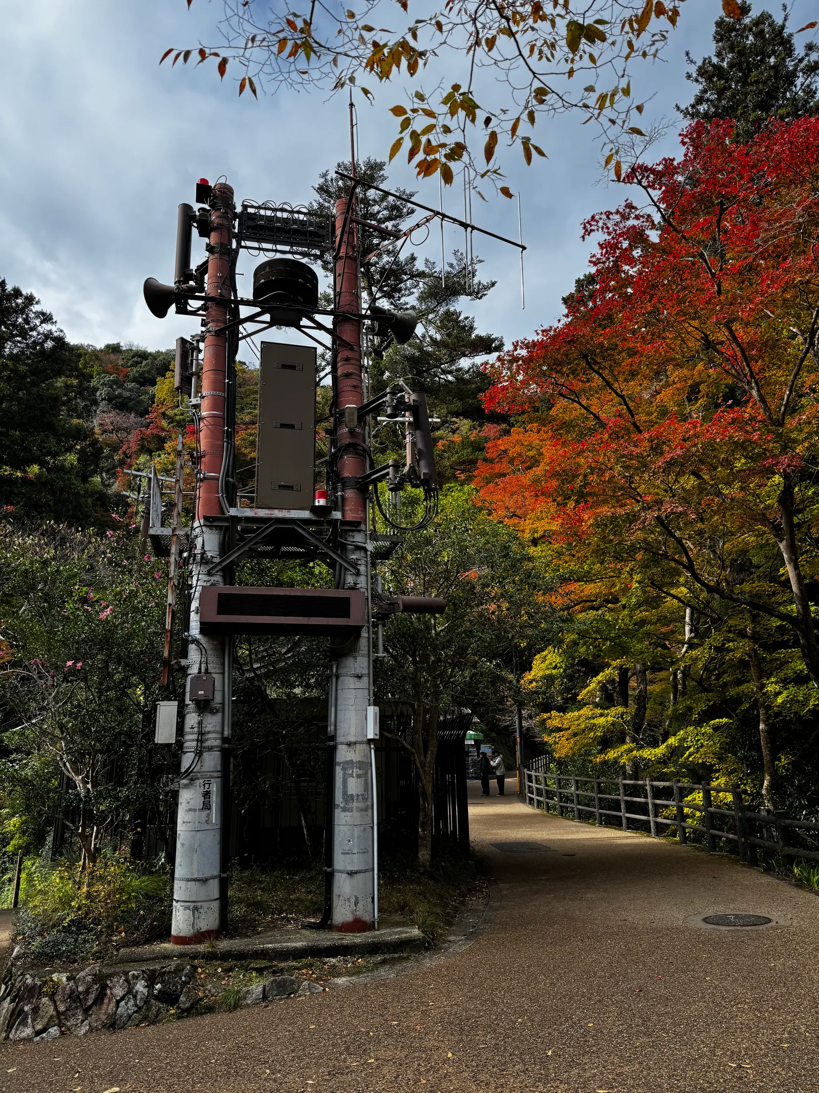 Minoh, Japan — 26 November 2024