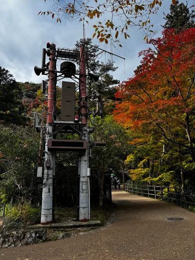 Minoh, Japan — 26 November 2024