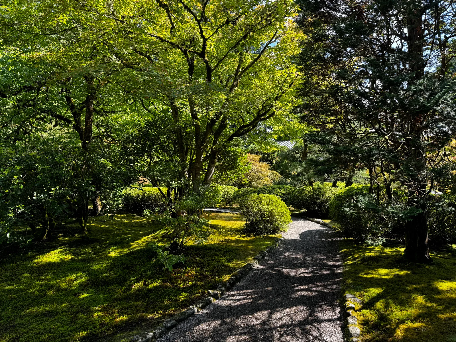 Portland, United States — 24 August 2024