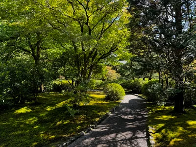 Portland, United States — 24 August 2024
