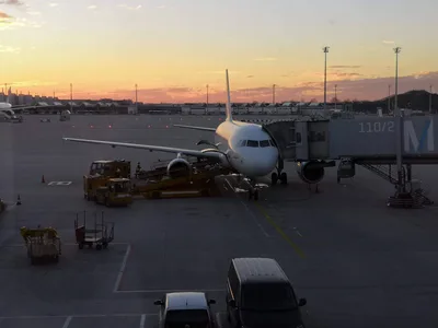 Photo from 12 November 2018