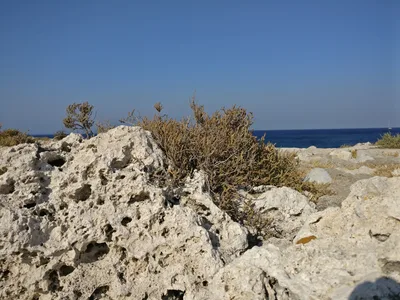 Photo from 11 August 2017