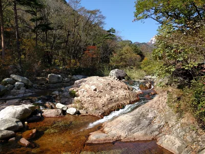 Sokcho, South Korea — 19 October 2016