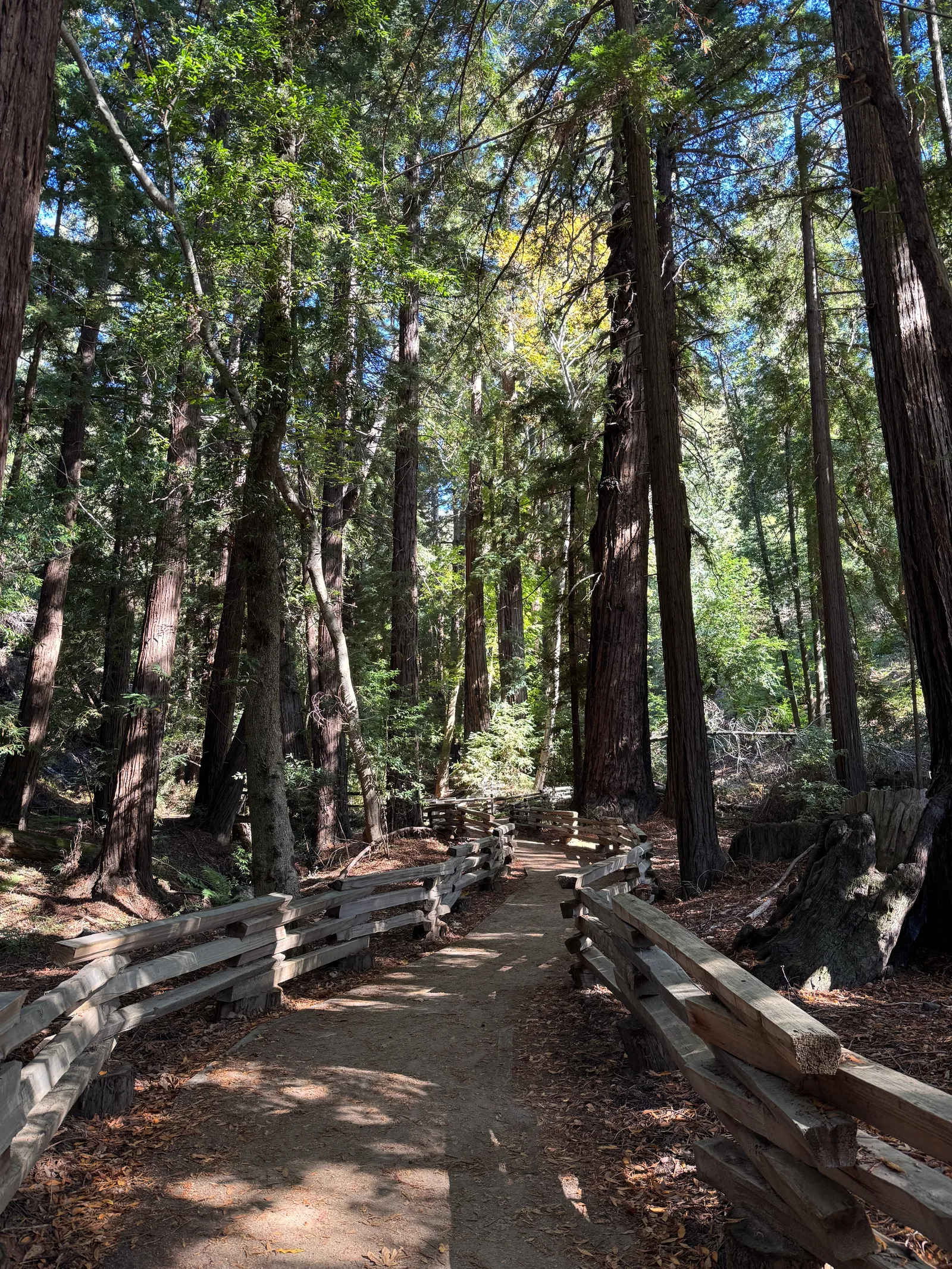 Carmel Valley Village, United States — 23 October 2025