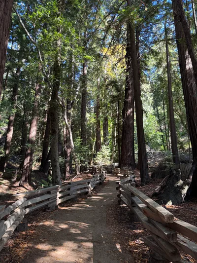 Carmel Valley Village, United States — 23 October 2025