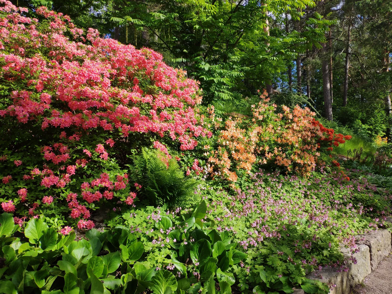 Photo from 15 June 2019