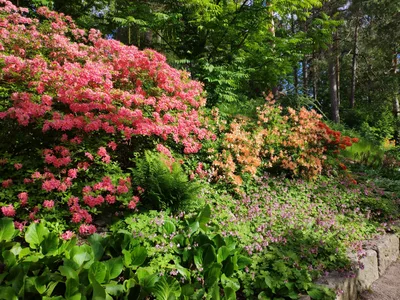 Photo from 15 June 2019