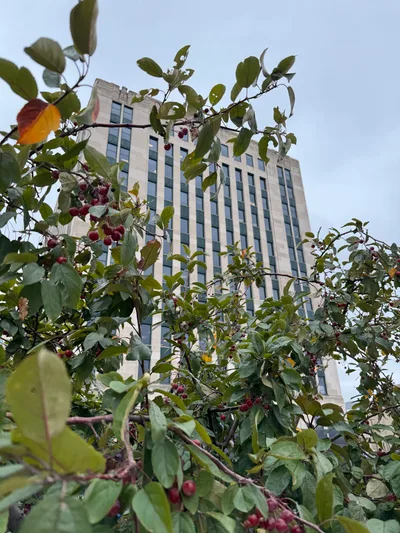 Chicago Loop, United States — 15 October 2025