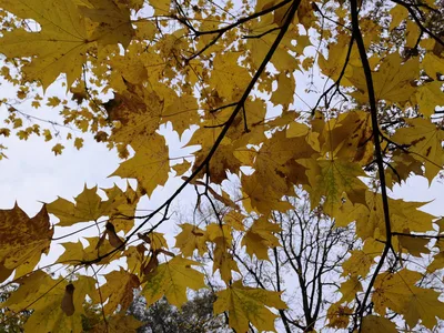Avtovo, Russia — 20 October 2018