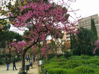 Photo from 29 March 2014