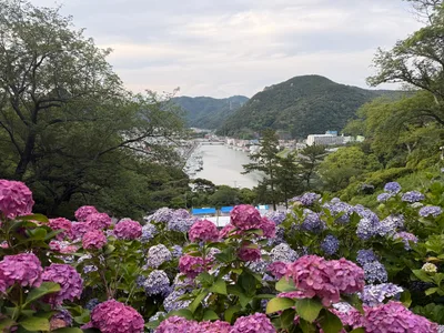Shimoda, Japan — 19 June 2026