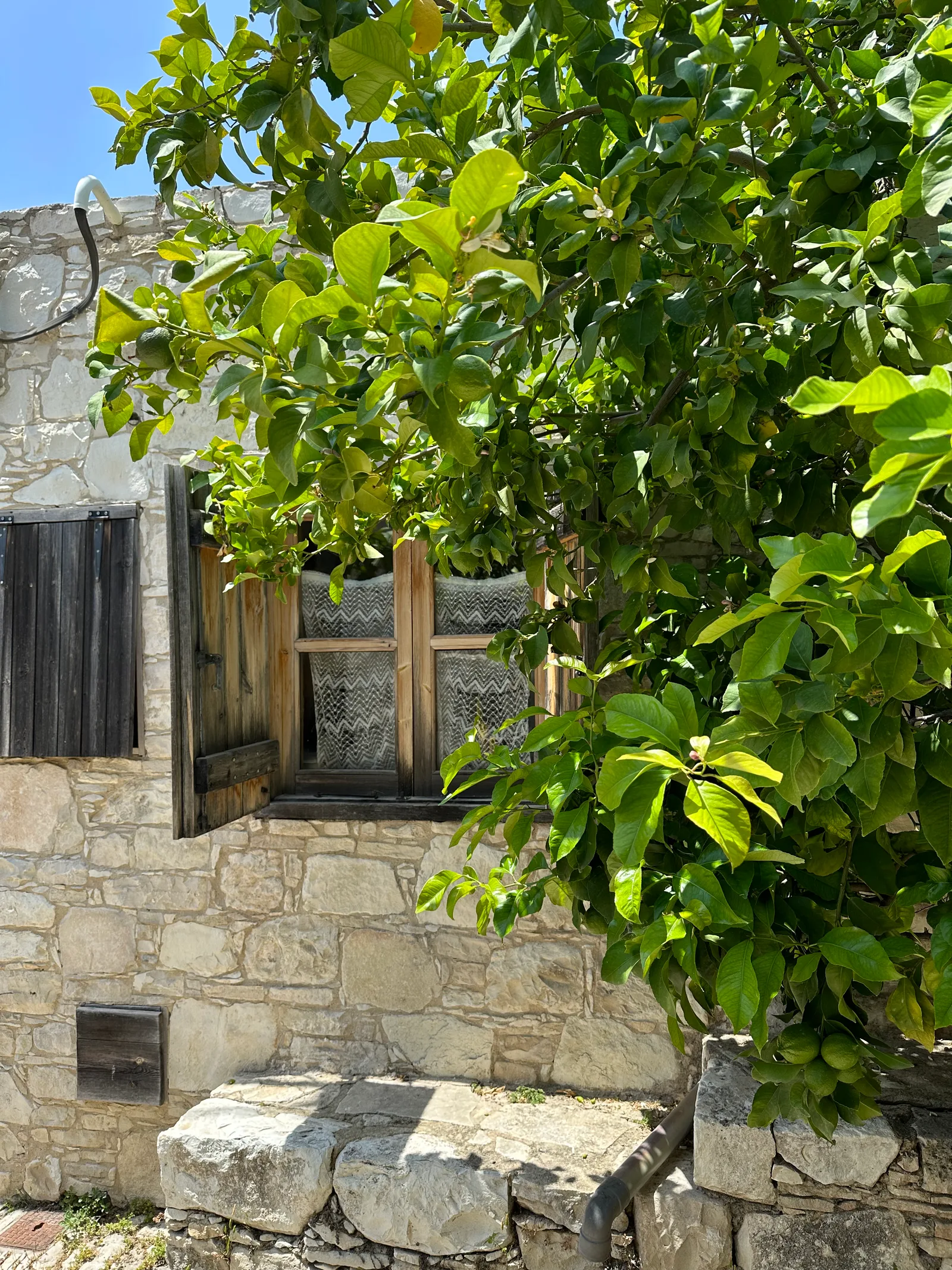 Peléndri, Cyprus — 14 May 2023