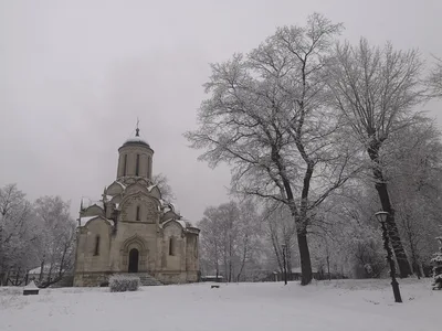 Photo from 11 January 2020