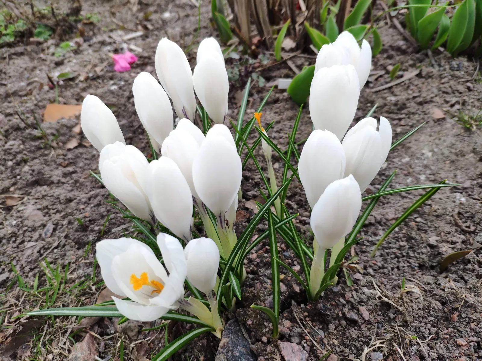 Photo from 20 April 2019