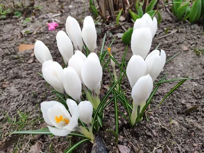 Photo from 20 April 2019