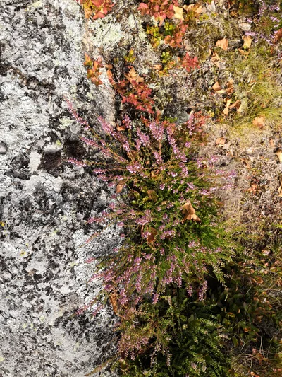 Photo from 3 August 2019