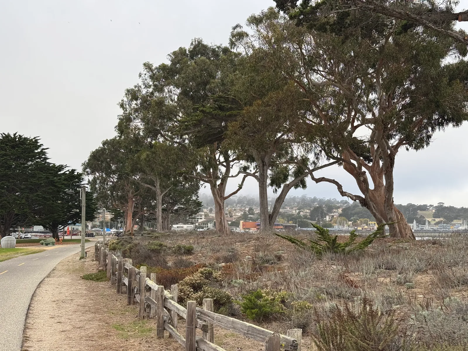 Monterey, United States — 24 October 2025